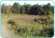 Woodland and Heath